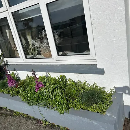 Retreat Main House Gorey